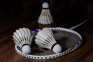 badminton shuttlecock